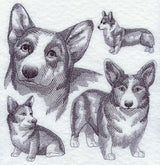 Pembroke Welsh Corgi Sketch