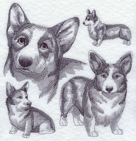 Pembroke Welsh Corgi Sketch