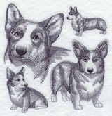 Pembroke Welsh Corgi Sketch