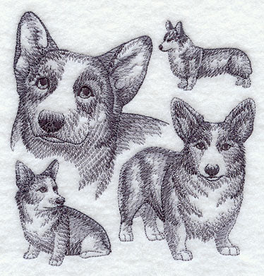 Pembroke Welsh Corgi Sketch