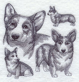 Pembroke Welsh Corgi Sketch