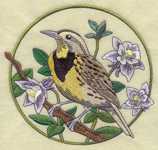 Meadowlark and Columbine Circle