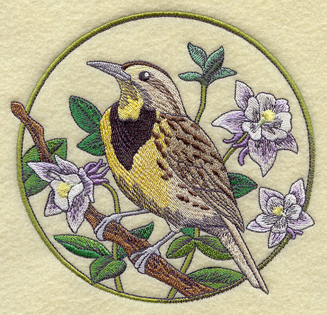 Meadowlark and Columbine Circle
