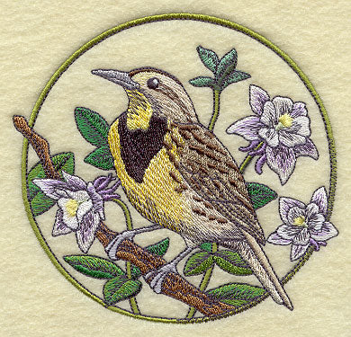 Meadowlark and Columbine Circle