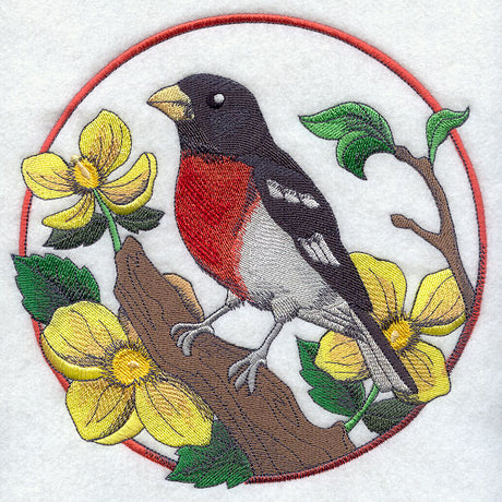 Rose-breasted Grosbeak and Wood Poppy Circle