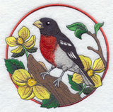 Rose-breasted Grosbeak and Wood Poppy Circle
