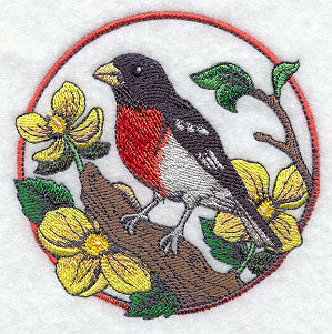Rose-breasted Grosbeak and Wood Poppy Circle