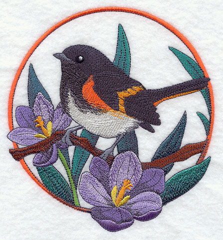 American Redstart and Crocus Circle