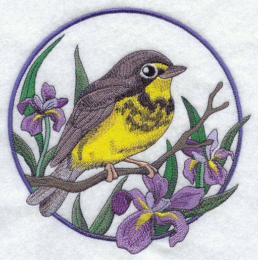 Canada Warbler and Iris Circle