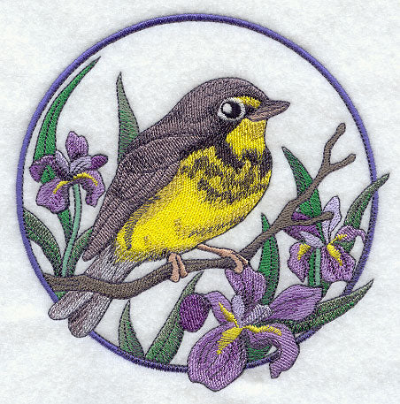 Canada Warbler and Iris Circle