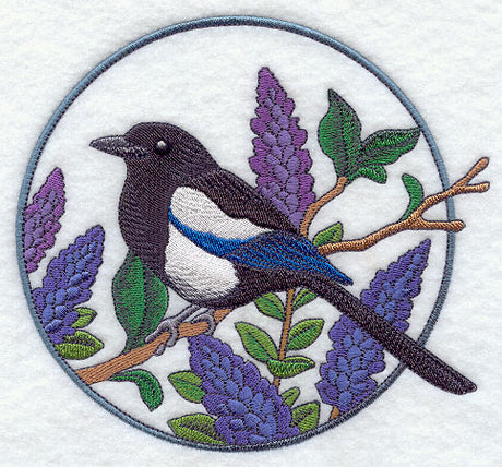 Black-billed Magpie and Lupine Circle