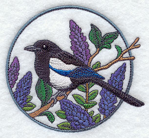 Black-billed Magpie and Lupine Circle