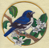 Black-throated Blue Warbler and Mayflower Circle