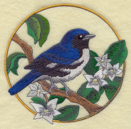 Black-throated Blue Warbler and Mayflower Circle