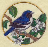 Black-throated Blue Warbler and Mayflower Circle