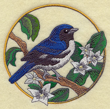 Black-throated Blue Warbler and Mayflower Circle