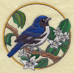 Black-throated Blue Warbler and Mayflower Circle