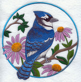 Blue Jay and Purple Coneflower Circle