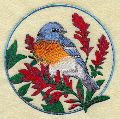 Lazuli Bunting and Indian Paintbrush Circle