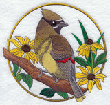 Cedar Waxwing and Black-eyed Susan Circle