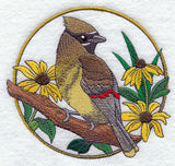 Cedar Waxwing and Black-eyed Susan Circle