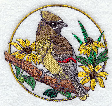 Cedar Waxwing and Black-eyed Susan Circle