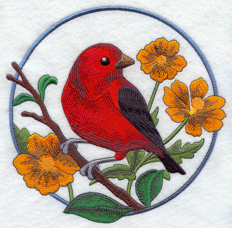 Scarlet Tanager and Cosmos Circle