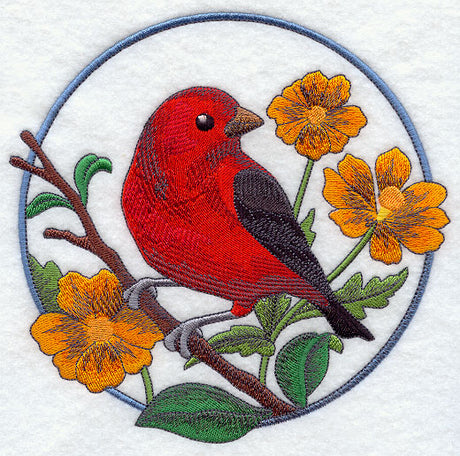 Scarlet Tanager and Cosmos Circle