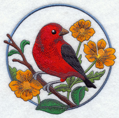 Scarlet Tanager and Cosmos Circle