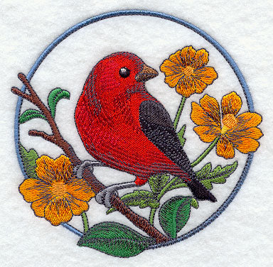 Scarlet Tanager and Cosmos Circle