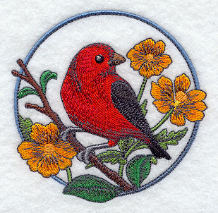 Scarlet Tanager and Cosmos Circle