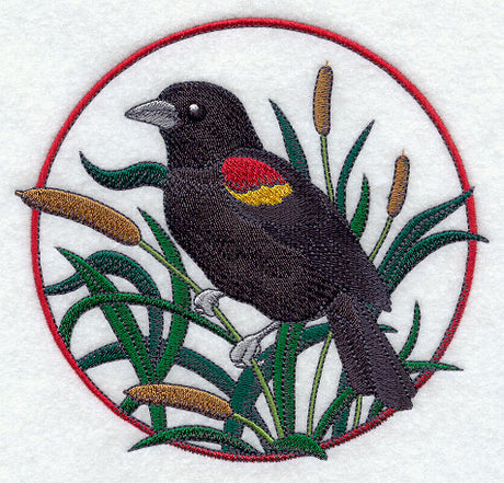 Red-winged Blackbird and Cattail Circle