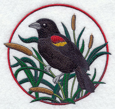Red-winged Blackbird and Cattail Circle