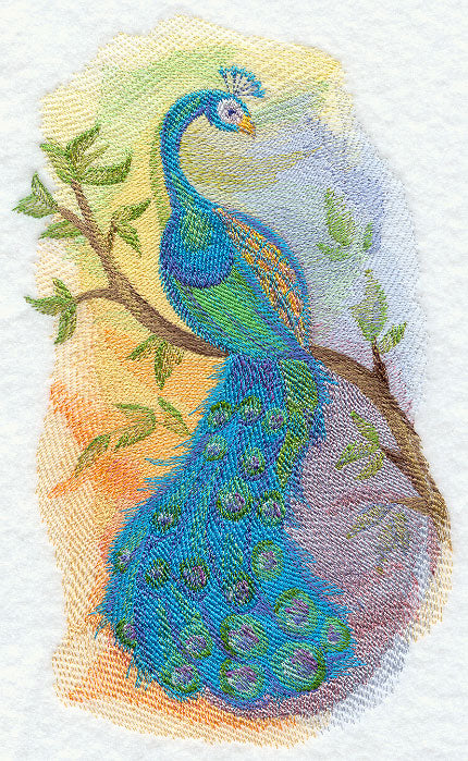 Peacock in Watercolor