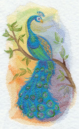 Peacock in Watercolor