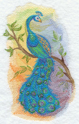 Peacock in Watercolor