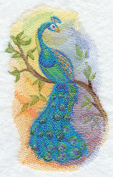 Peacock in Watercolor