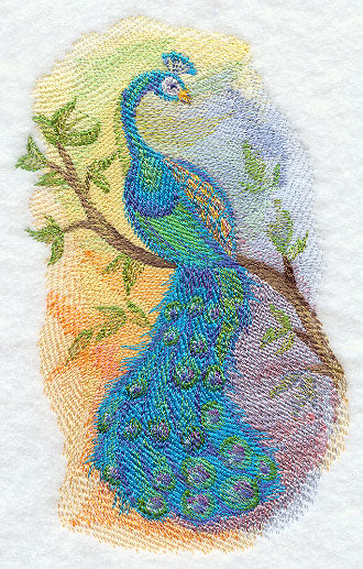 Peacock in Watercolor