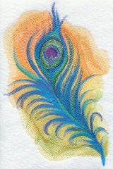 Peacock Feather in Watercolor