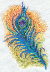 Peacock Feather in Watercolor