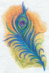 Peacock Feather in Watercolor