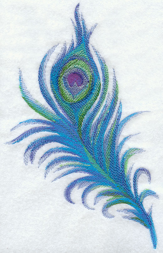 Peacock Feather