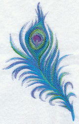 Peacock Feather