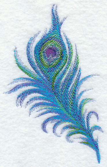 Peacock Feather