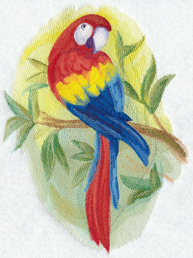 Scarlet Macaw in Watercolor