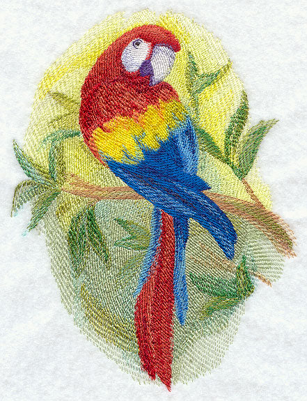 Scarlet Macaw in Watercolor