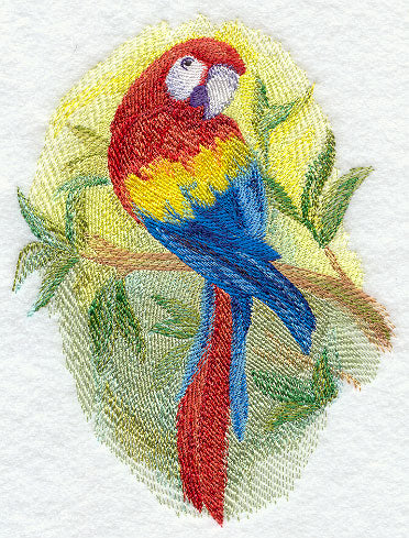 Scarlet Macaw in Watercolor