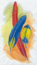Scarlet Macaw Feathers in Watercolor