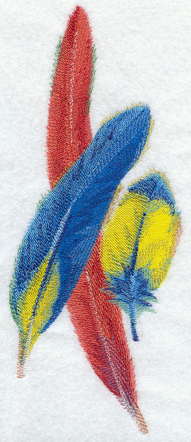 Scarlet Macaw Feathers