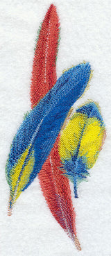 Scarlet Macaw Feathers